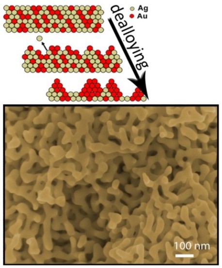 Nanoporous Gold